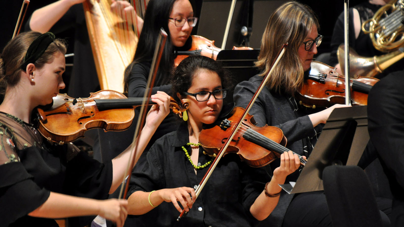 Members of the string section in the University of Maryland Repertoire Orchestra.