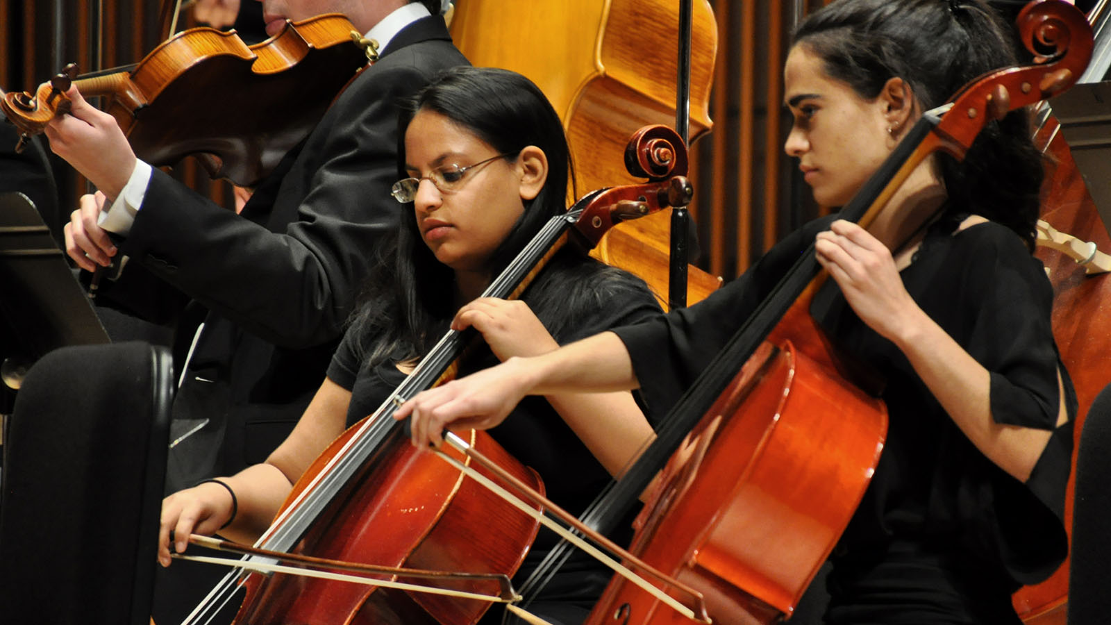 Cellists in the University of Maryland Repertoire Orchestra.